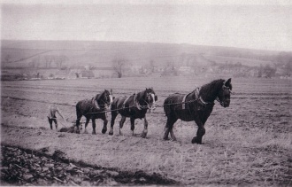 History of Westcourt Farm