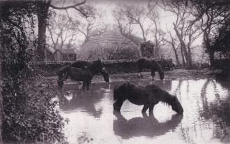 History of Westcourt Farm